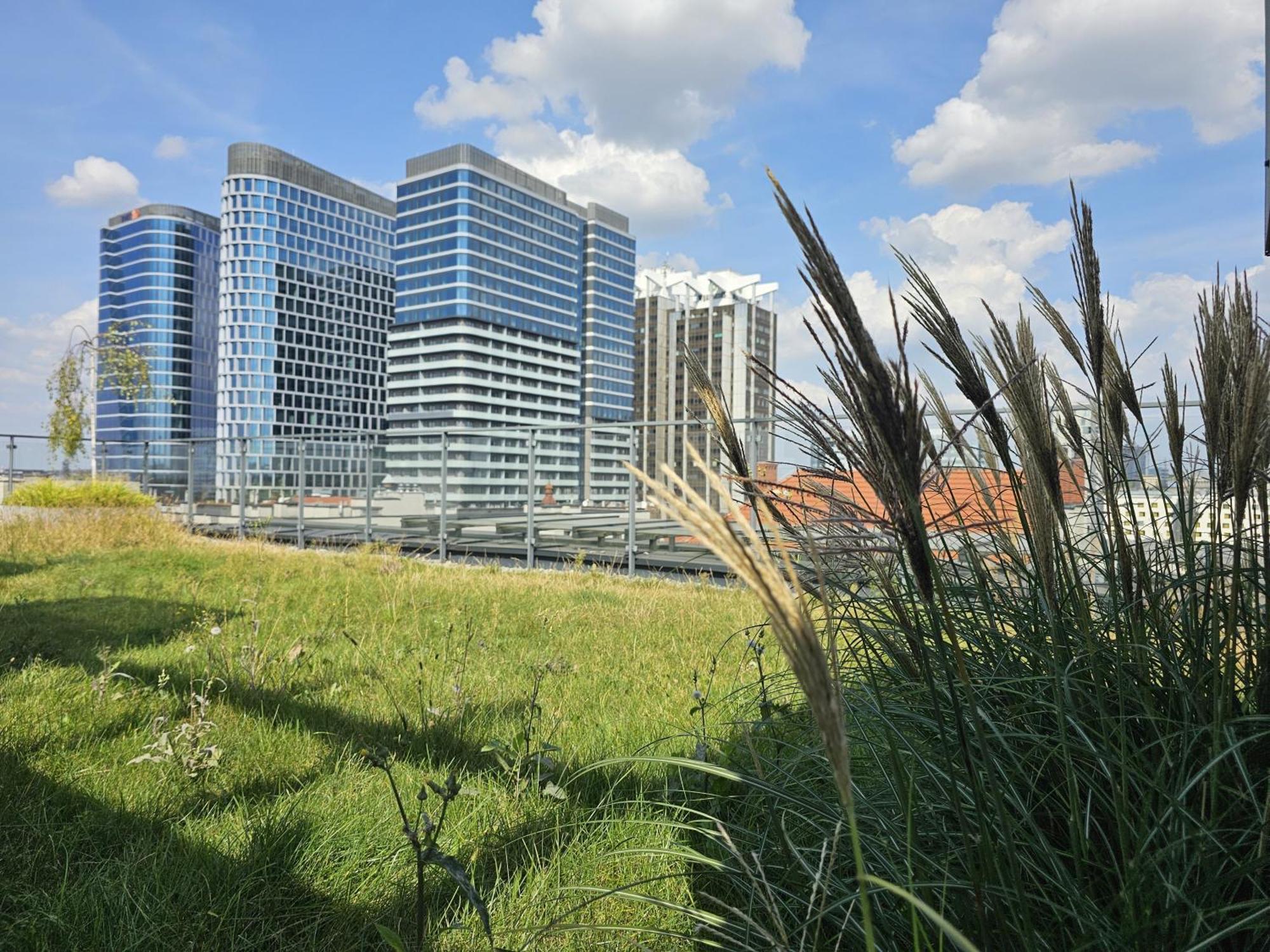 קטוביץ Urban Apartments Premium, Opolska 10 No 36, Free Garage, Self Check-In מראה חיצוני תמונה